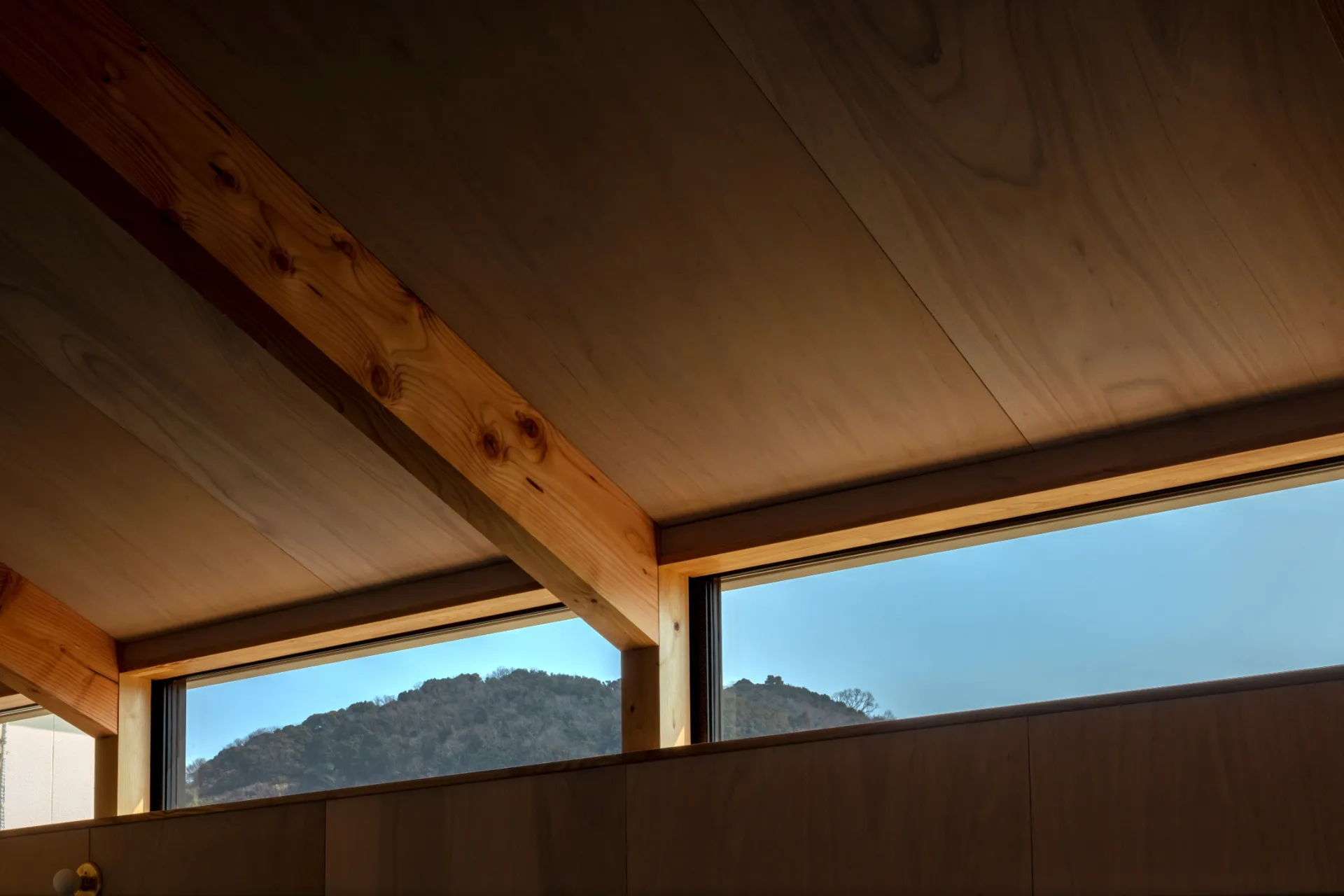 住宅01「地を継ぐ離れ」